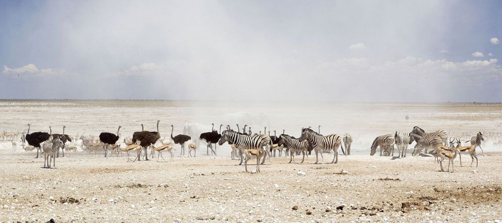 Eagle Tented Lodge - Image 2
