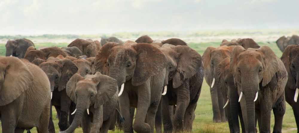 Naibor Wilderness Camp, Masai Mara National Reserve, Kenya - Image 3