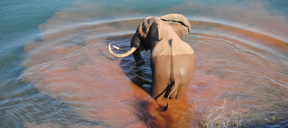 Ele Changa - Image 2