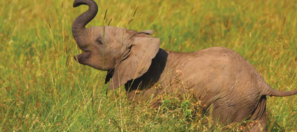 Madikwe Hills Game Lodge, Madikwe Game Reserve, South Africa - Image 8