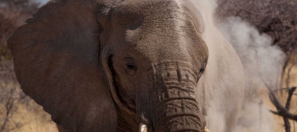 Mokuti Etosha Lodge, Etosha National Park, Namibia - Image 1