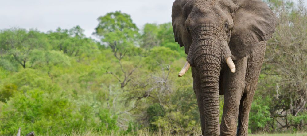 Elephant House, Addo Elephant National Park, South Africa - Image 5