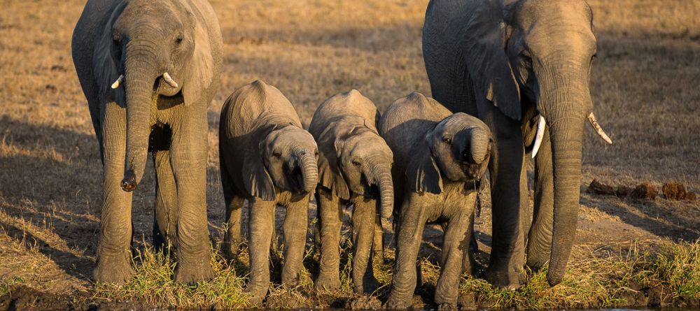 Sabi Sabi - Image 10