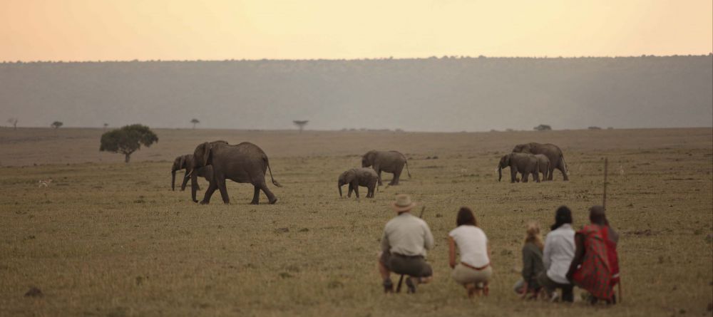 Encounter Mara Camp - Image 4