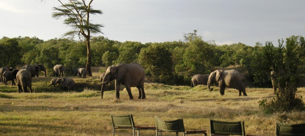 Elephants at sundowners- Ol Pejeta Bush Camp, Ol Pejeta Reserve, Kenya - Image 5