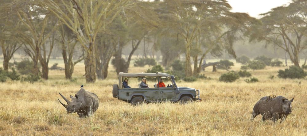 Kifaru House - Image 7