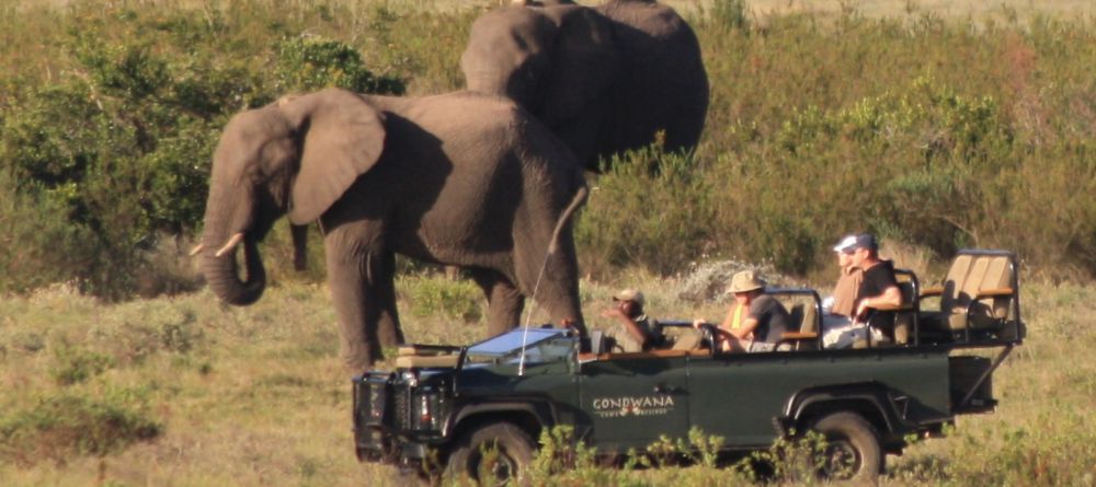 Game drive at Kwena Lodge - Image 3