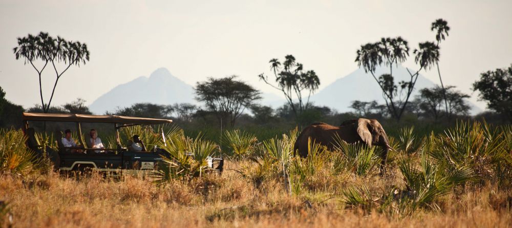 Elsas Kopje, Meru National Park, Kenya - Image 11
