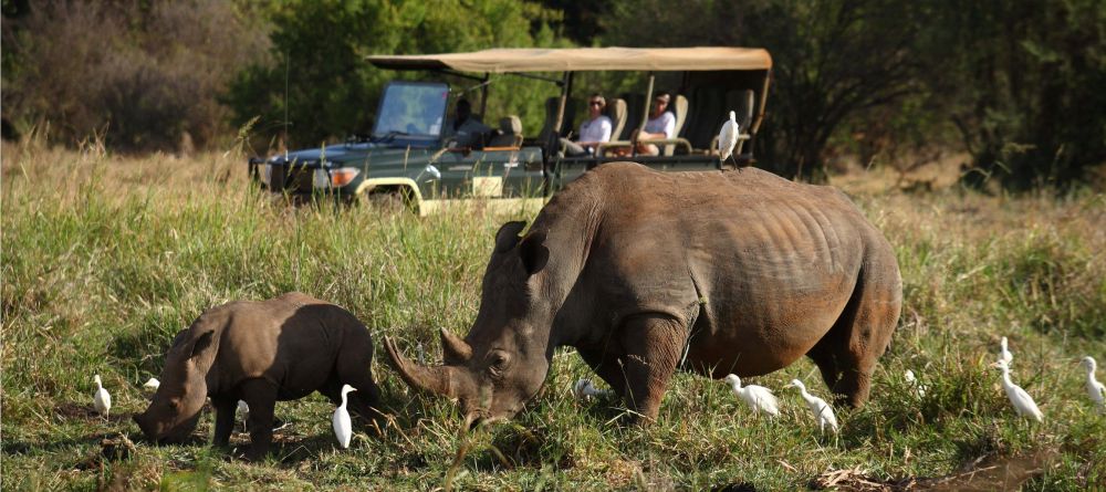 Elsas Kopje, Meru National Park, Kenya - Image 12