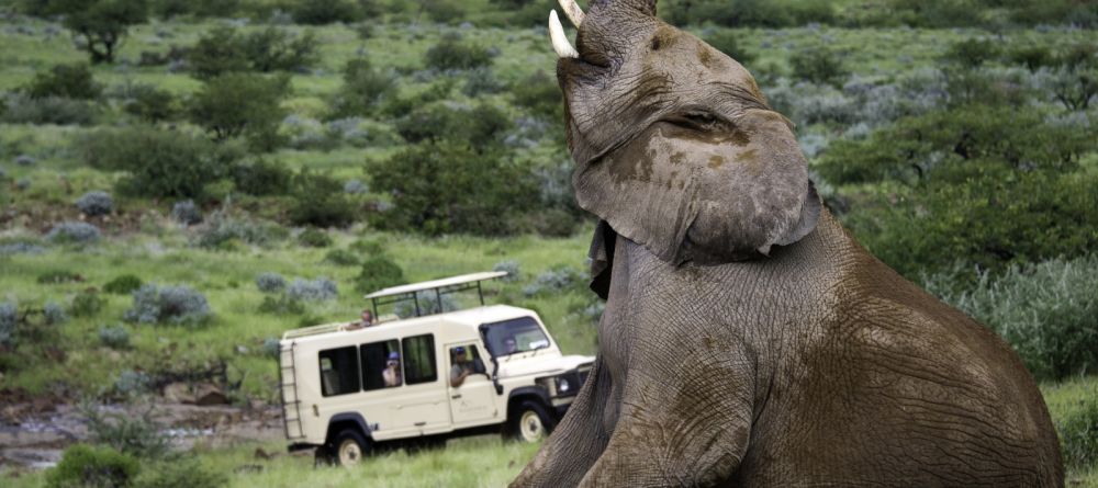 Safari Drive Elephants - Image 2