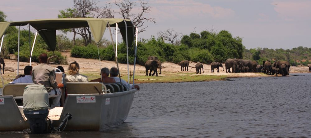 A herd of elephants is spotted during a boat safari at Elephant Valley Lodge, Chobe National Park, Botswana - Image 13