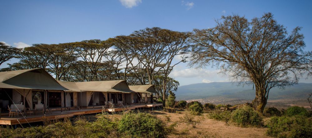 Entamanu Ngorongoro  - Image 16