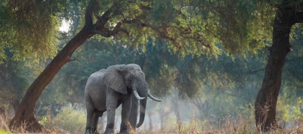 Kutali Camp - Image 7