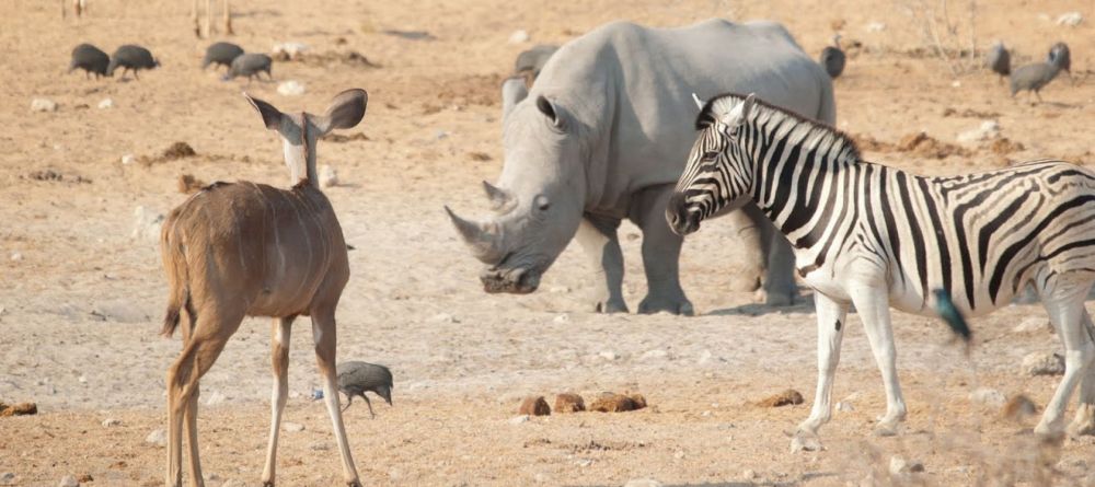 Etosha Safari Lodge, Etosha National Park, Namibia - Image 10
