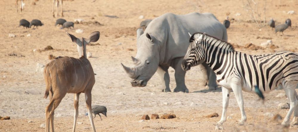 Epacha Game Lodge - Image 3