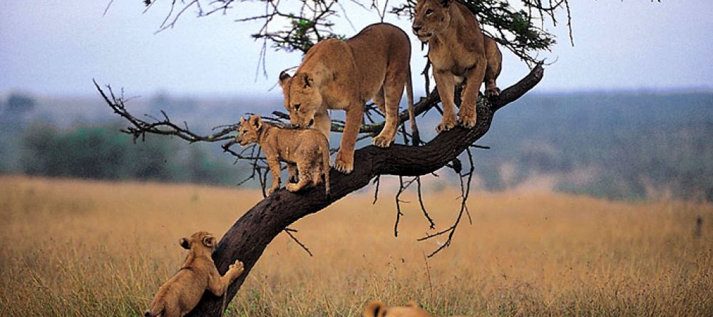Etosha Safari Lodge, Etosha National Park, Namibia - Image 9