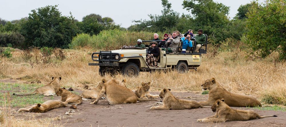 Euphorbia Villas - Image 6