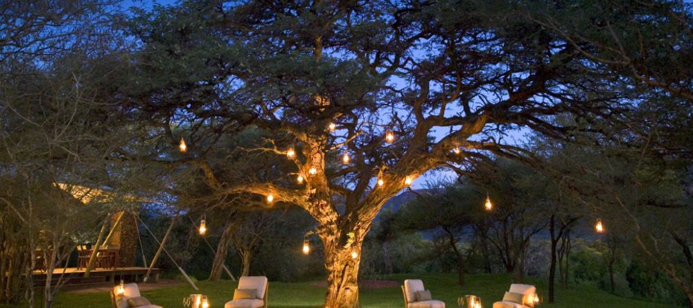 Evening under tree - Image 9