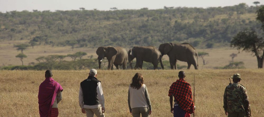 Kicheche Fly Camp - Image 1