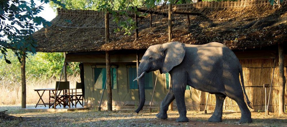 Flatdogs Camp - Image 4