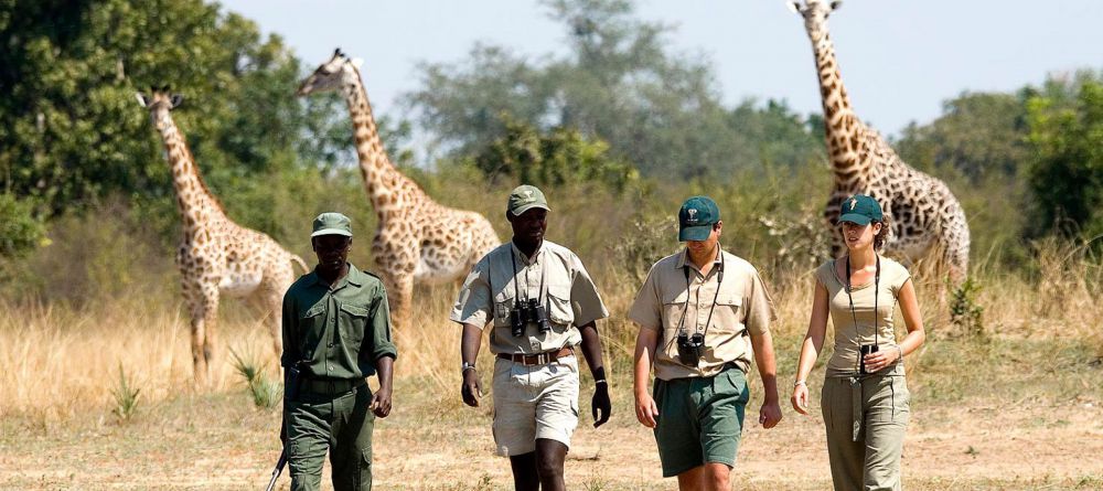 Flatdogs Camp - Image 2