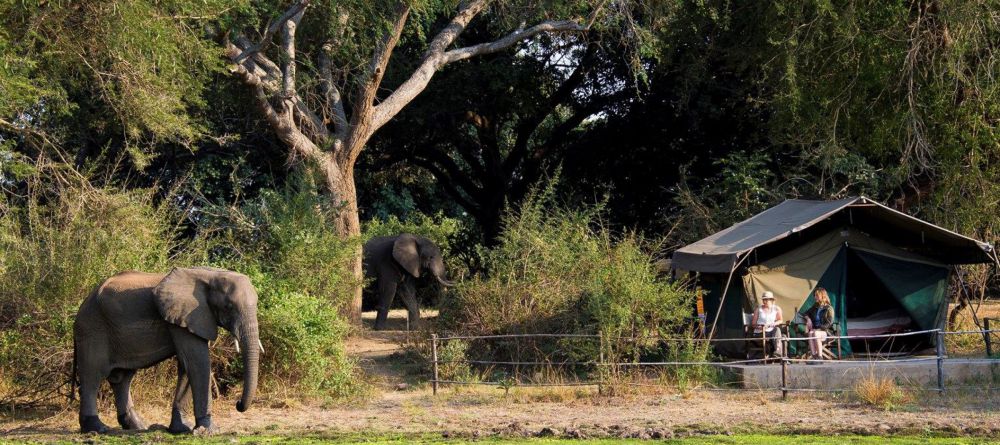 Flatdogs Camp - Image 3