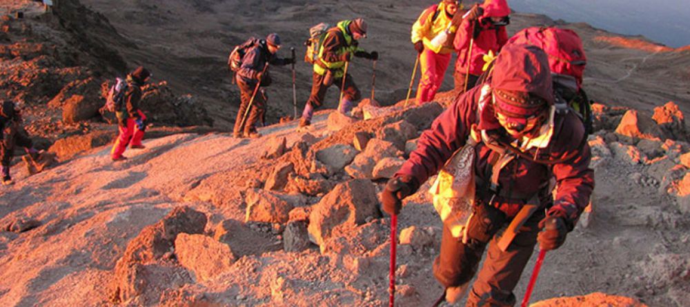 Mt. Kilimanjaro Western Approach - Image 7