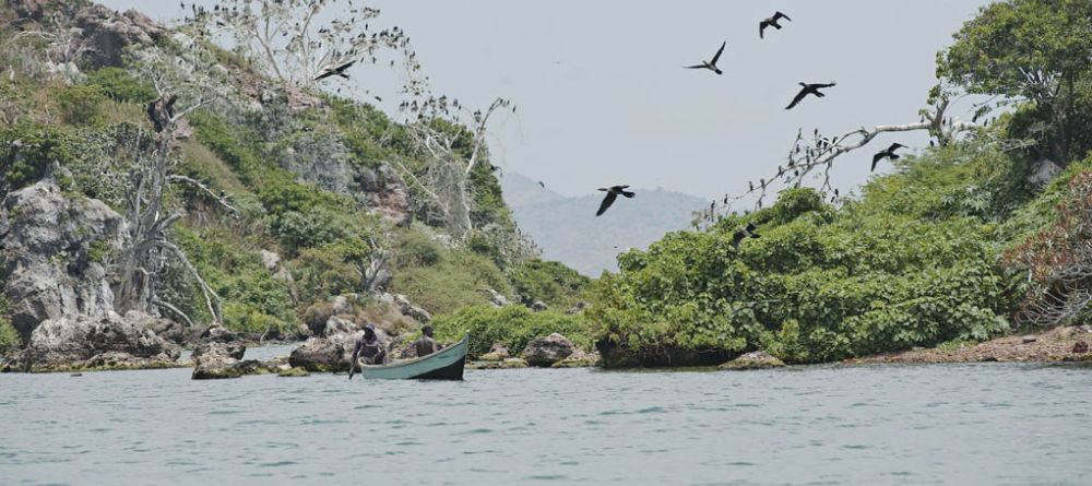 Fisherman at Bird Island at Rusinga Island Lodge, Lake Victoria, Kenya - Image 8