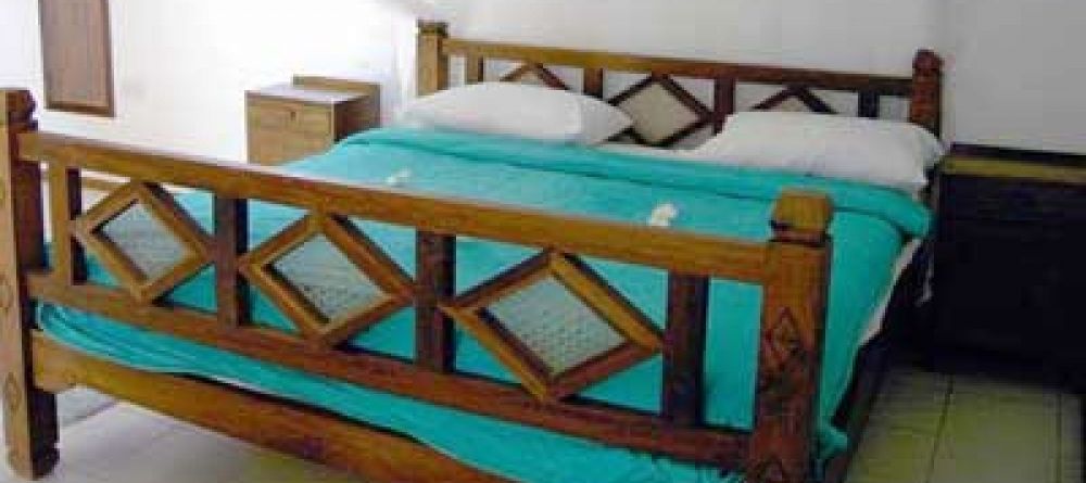 Flame Tree, Zanzibar, Tanzania - Image 3