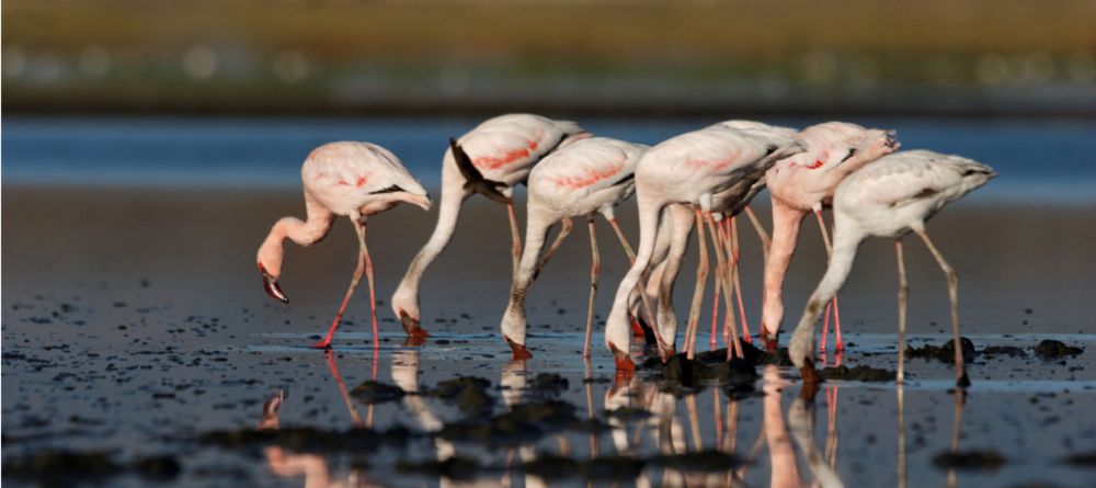 Sleeping Warrior Lodge - Image 2