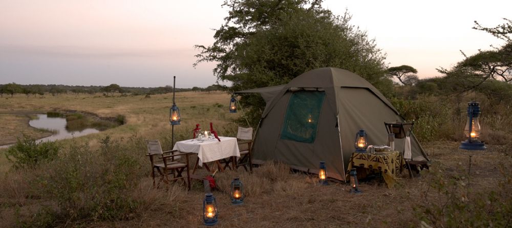 Fly camping- Olivers Camp, Tarangire National Park, Tanzania - Image 13