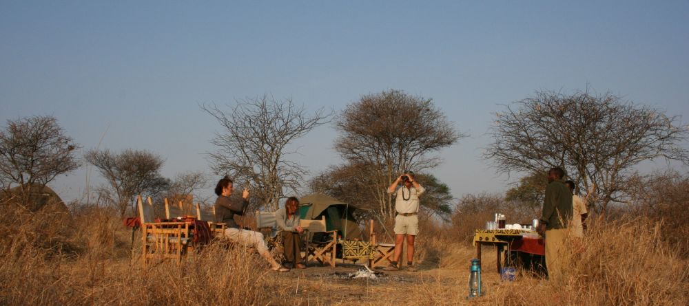 Fly camping- Olivers Camp, Tarangire National Park, Tanzania - Image 1
