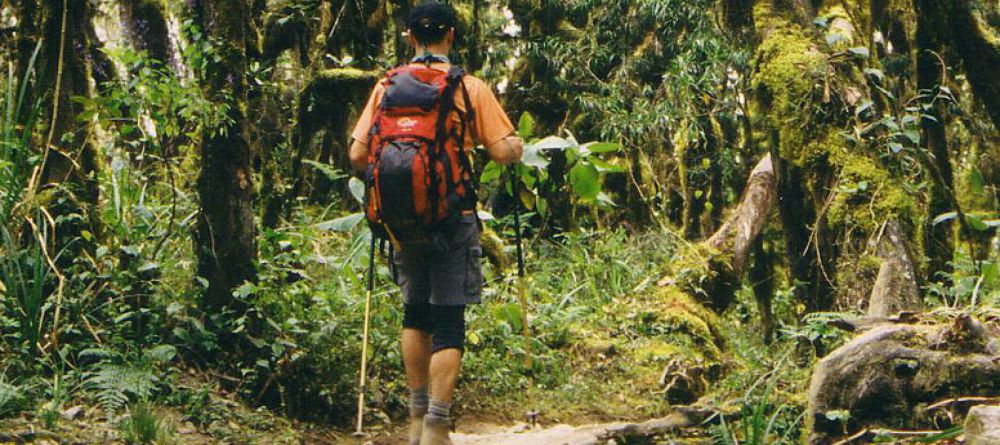 Mt. Kilimanjaro Western Approach - Image 8