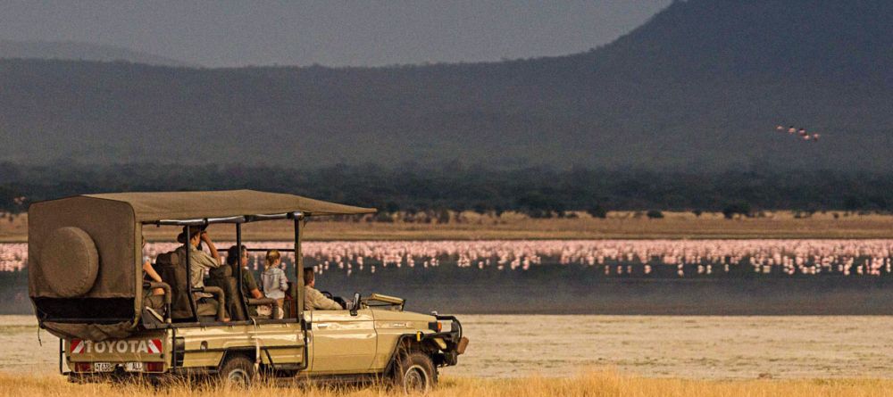 Forest Chem Chem Lake Manyara - Image 4