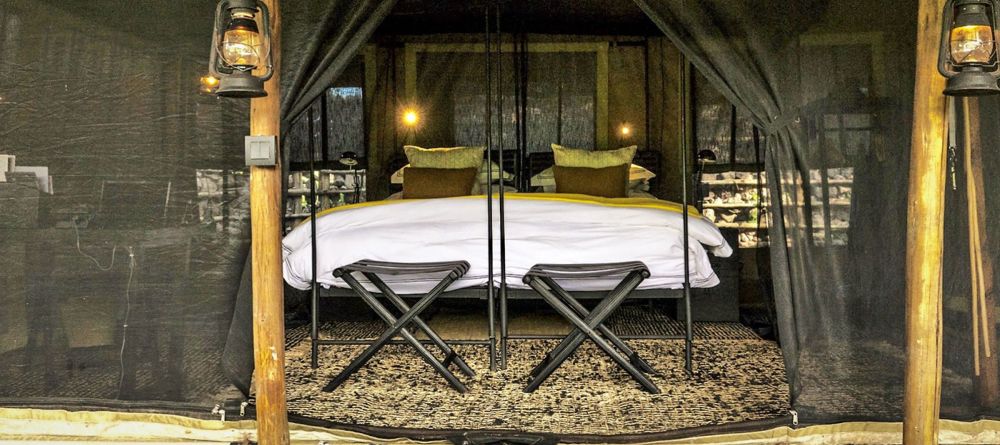 Forest Chem Chem tent - Image 6