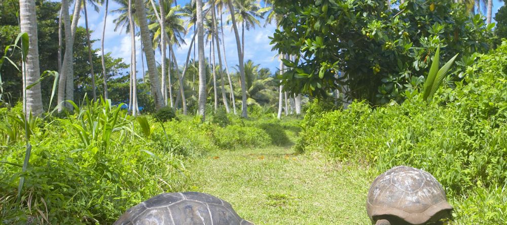 Fregate Island Resort, Fregate Island, Seychelles - Image 9