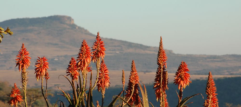 Fugitives' Drift, Drakensburg Mountains, South Africa - Image 1