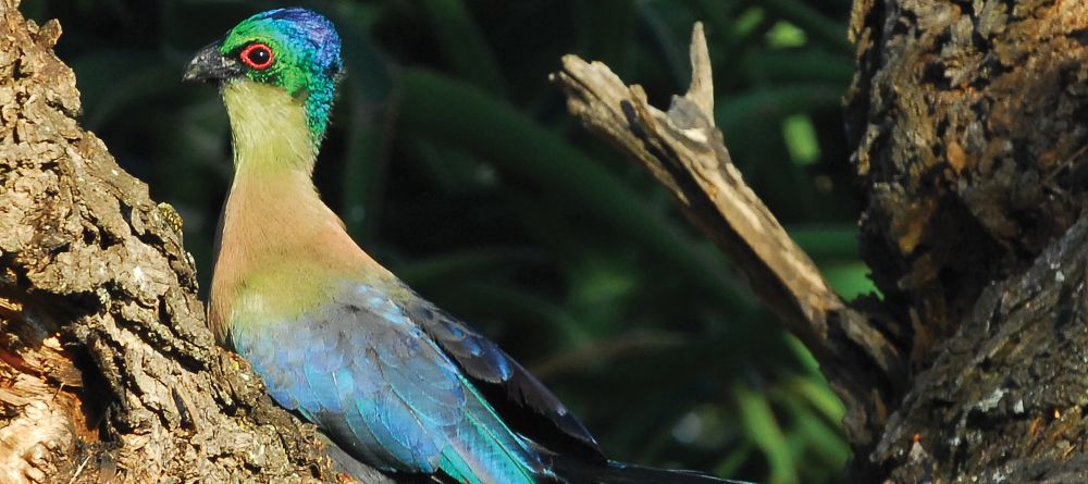 Fugitives' Drift, Drakensburg Mountains, South Africa - Image 2