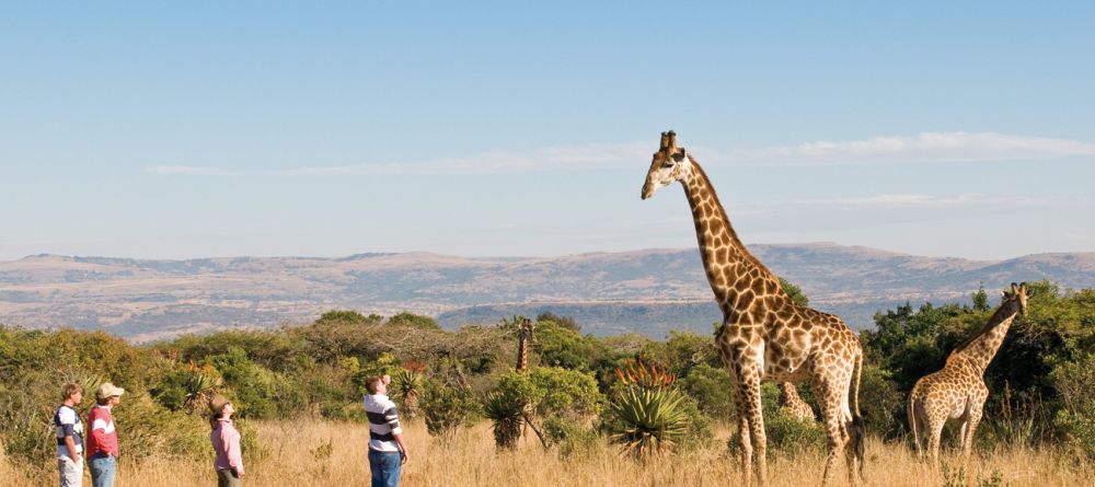 Fugitives' Drift, Drakensburg Mountains, South Africa - Image 3