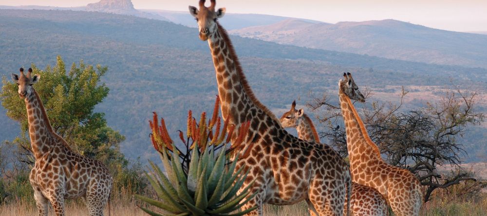 Fugitives' Drift, Drakensburg Mountains, South Africa - Image 5