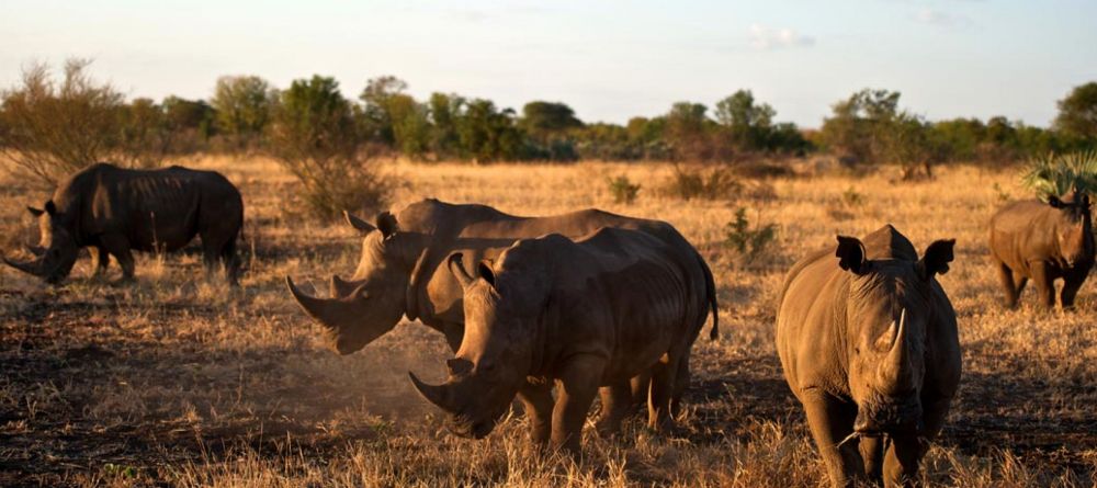 Singita Serengeti House, Serengeti Grumeti Reserves, Tanzania - Image 9