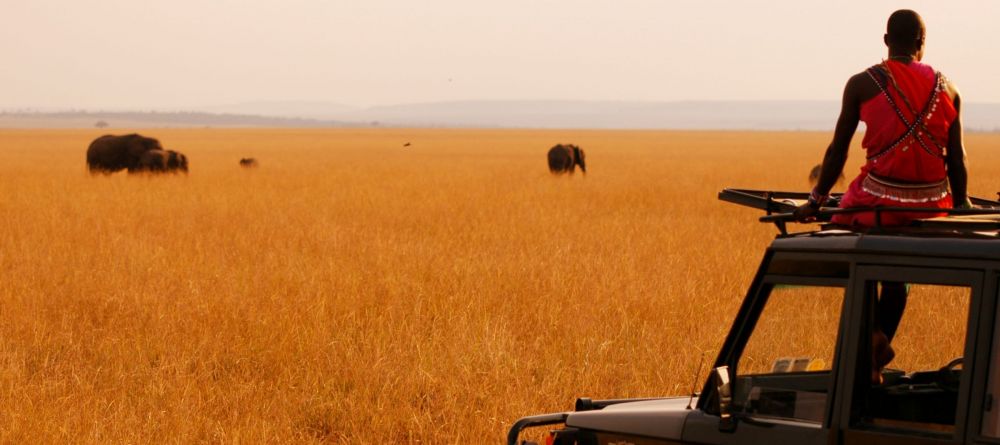Game drive at Acacia House, Masai Mara National Reserve, Kenya - Image 7