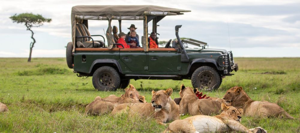 Game drive - Image 2