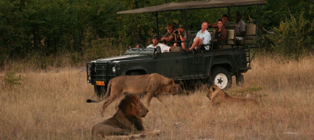 Camp Hwange - Game drive - Image 7