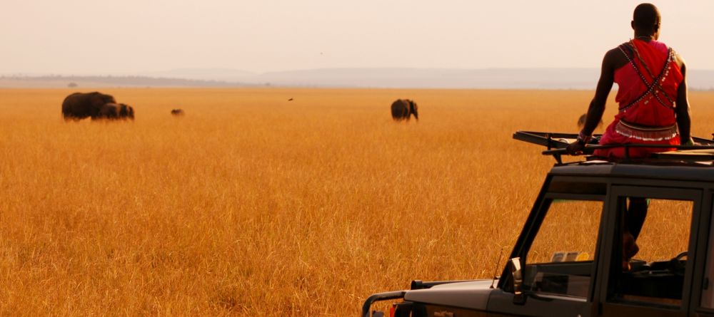 Private Masai guides lead game drives through the famous game-rich plains at Mara House, Masai Mara National Reserve, Kenya - Image 8