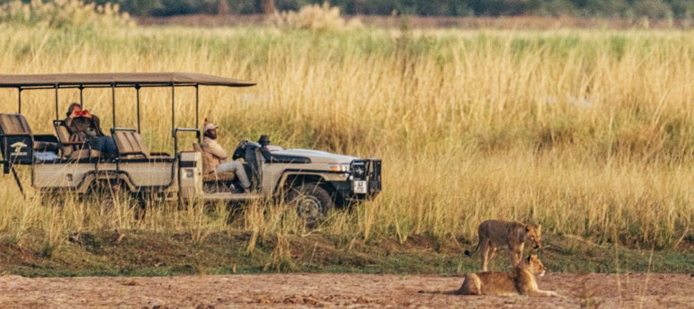 Anabezi Camp - Image 18