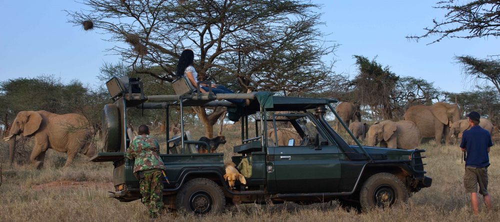 Elephant game drive at Ol Malo, Laikipia, Kenya - Image 11