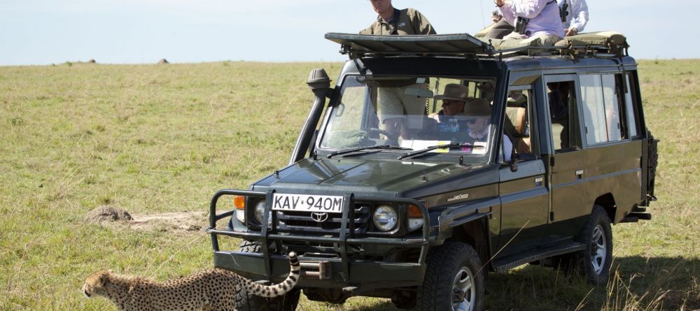 Game Drive from Sala's Camp - Image 2