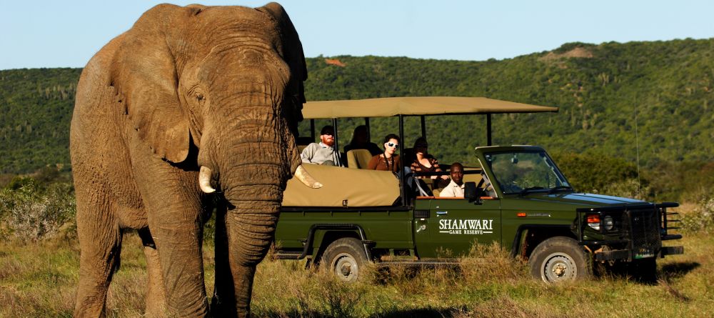 Game drive at Shamwari Bayethe Tented Lodge, Shamwari Game Reserve, South Africa - Image 17