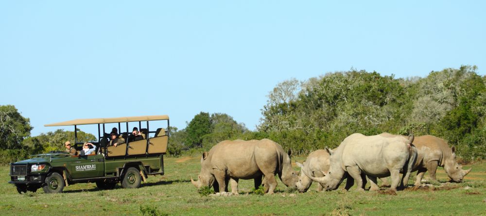 Spotting a herd of rhinos at Shamwari Bayethe Tented Lodge, Shamwari Game Reserve, South Africa - Image 20